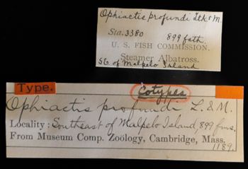 Media type: image;   Invertebrate Zoology OPH-1189 Description: Original handwritten specimen labels;  Aspect: labels